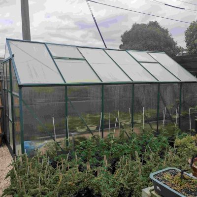 green-house1 (1)