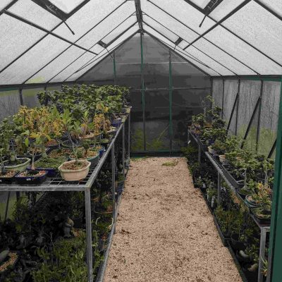 green-house2 (1)