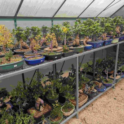 green-house3 (1)